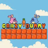 Play Crazy Bunny now!