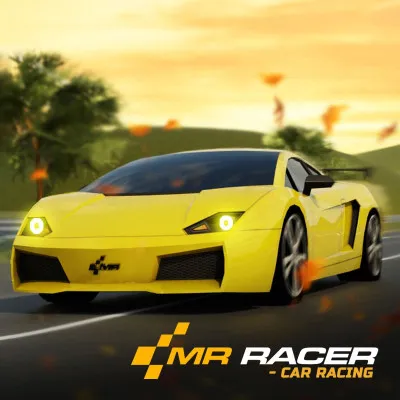 Mr. Racer img