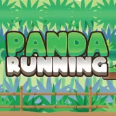 Play Panda Running now!