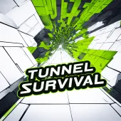 Play Tunnel Survival now!